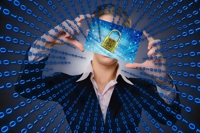 Comparing the Top 3 VPN Software for Personal Privacy
